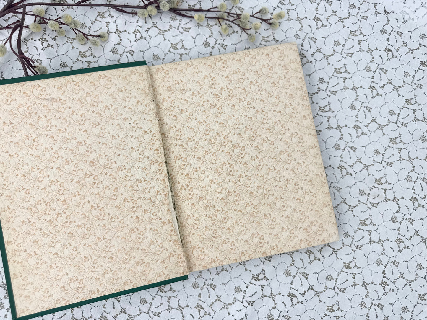 Illustrated Book