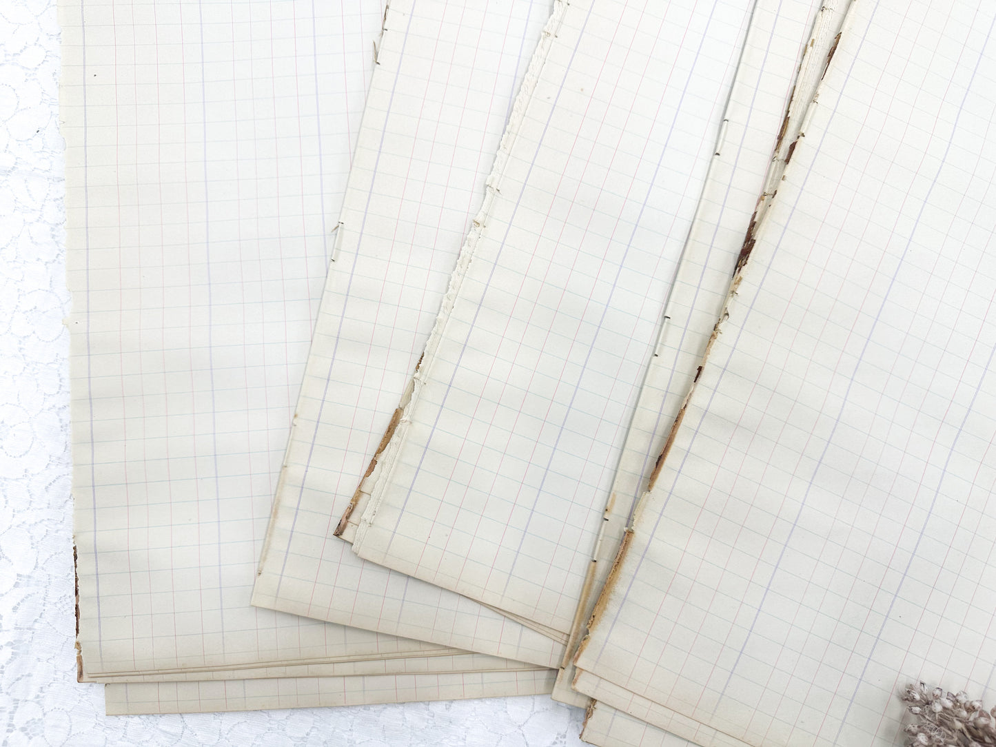 Vintage Ledger Township Page Pack (Set of 5)