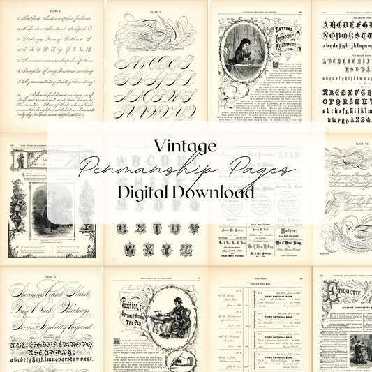 Penmanship Pages- Digital Download