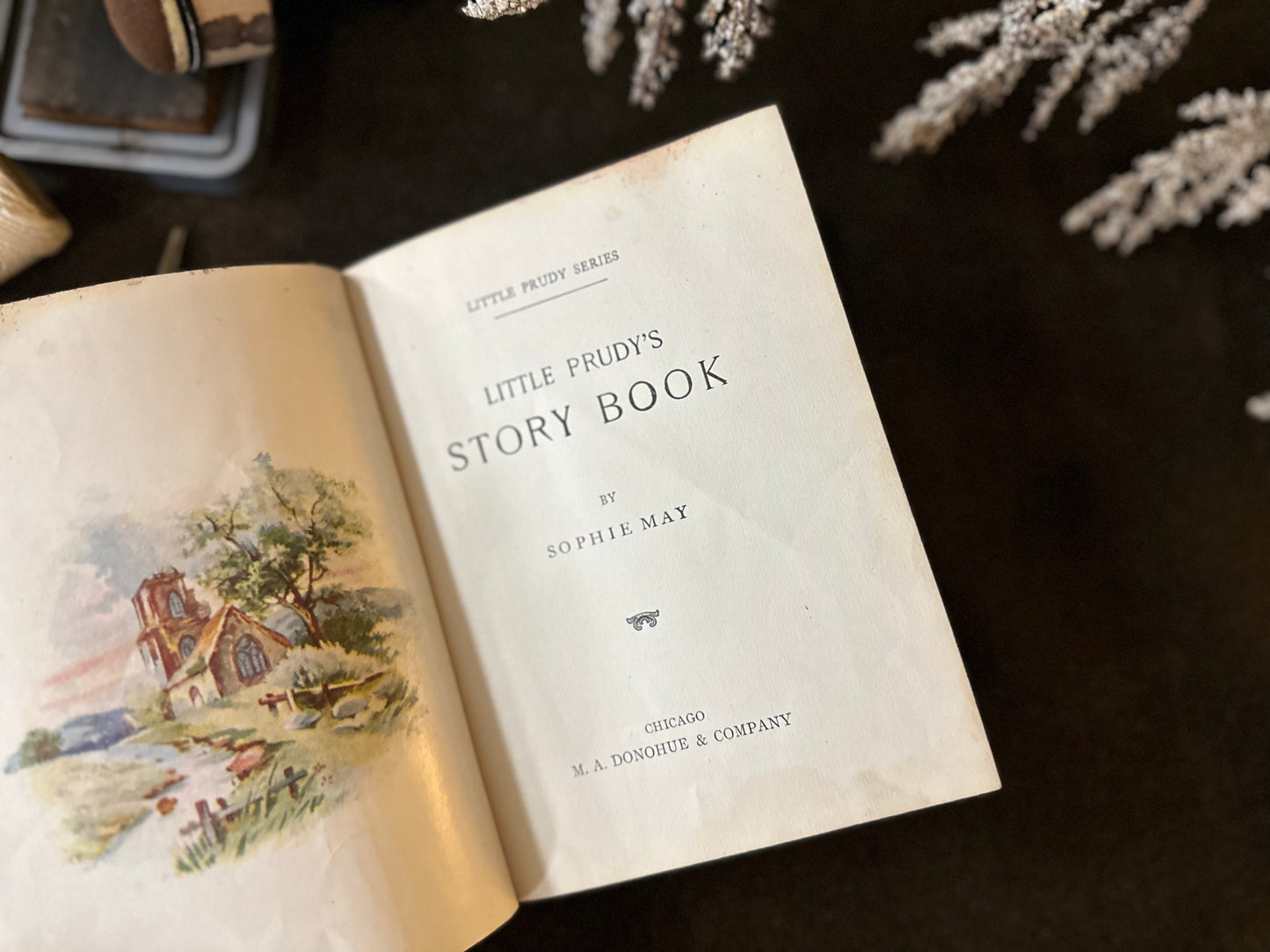 Beautiful Vintage Book