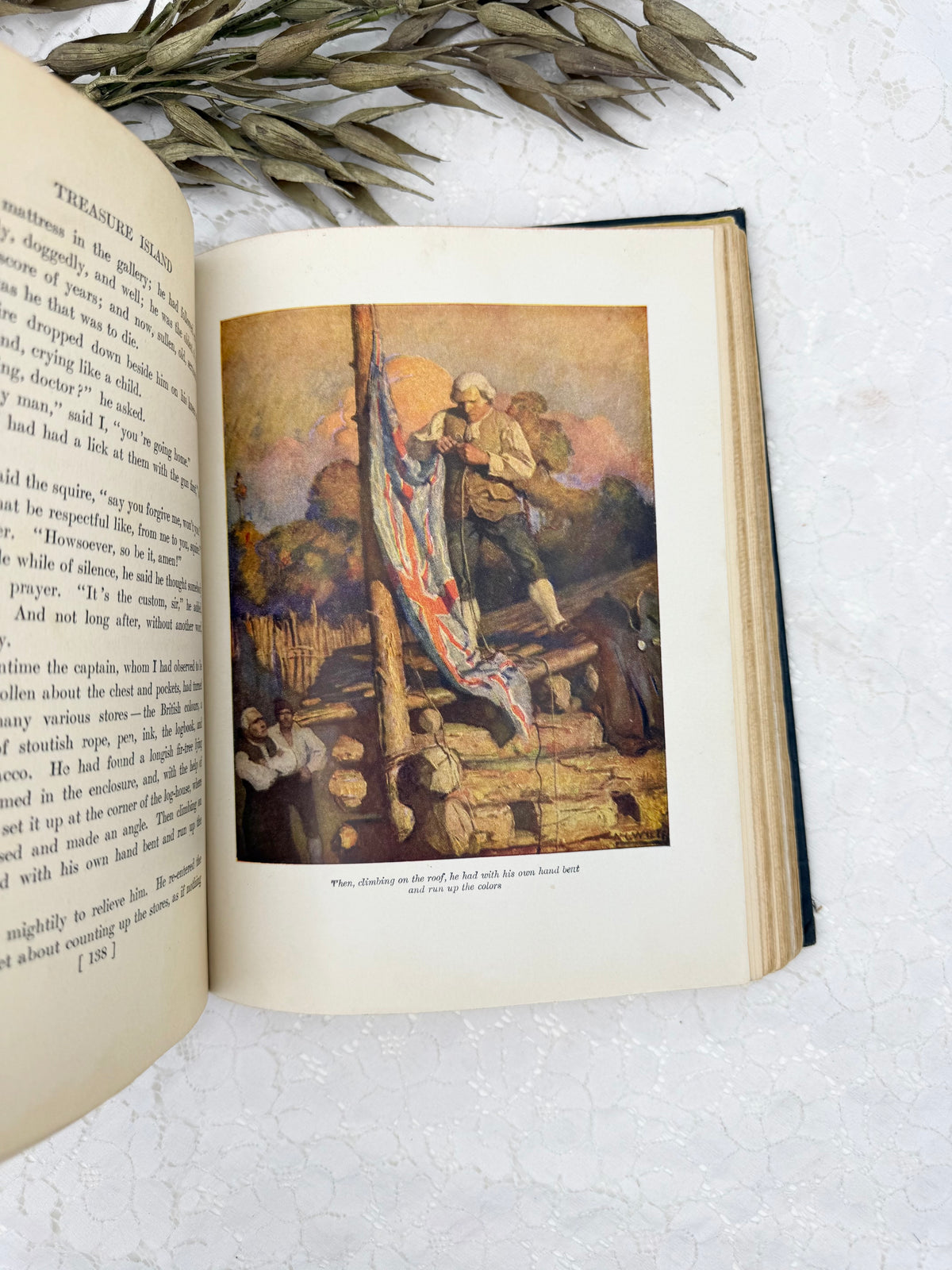 Treasure Island Book