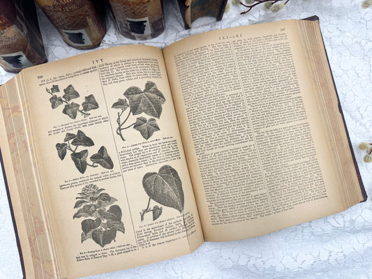 Encyclopedia Britannica Book