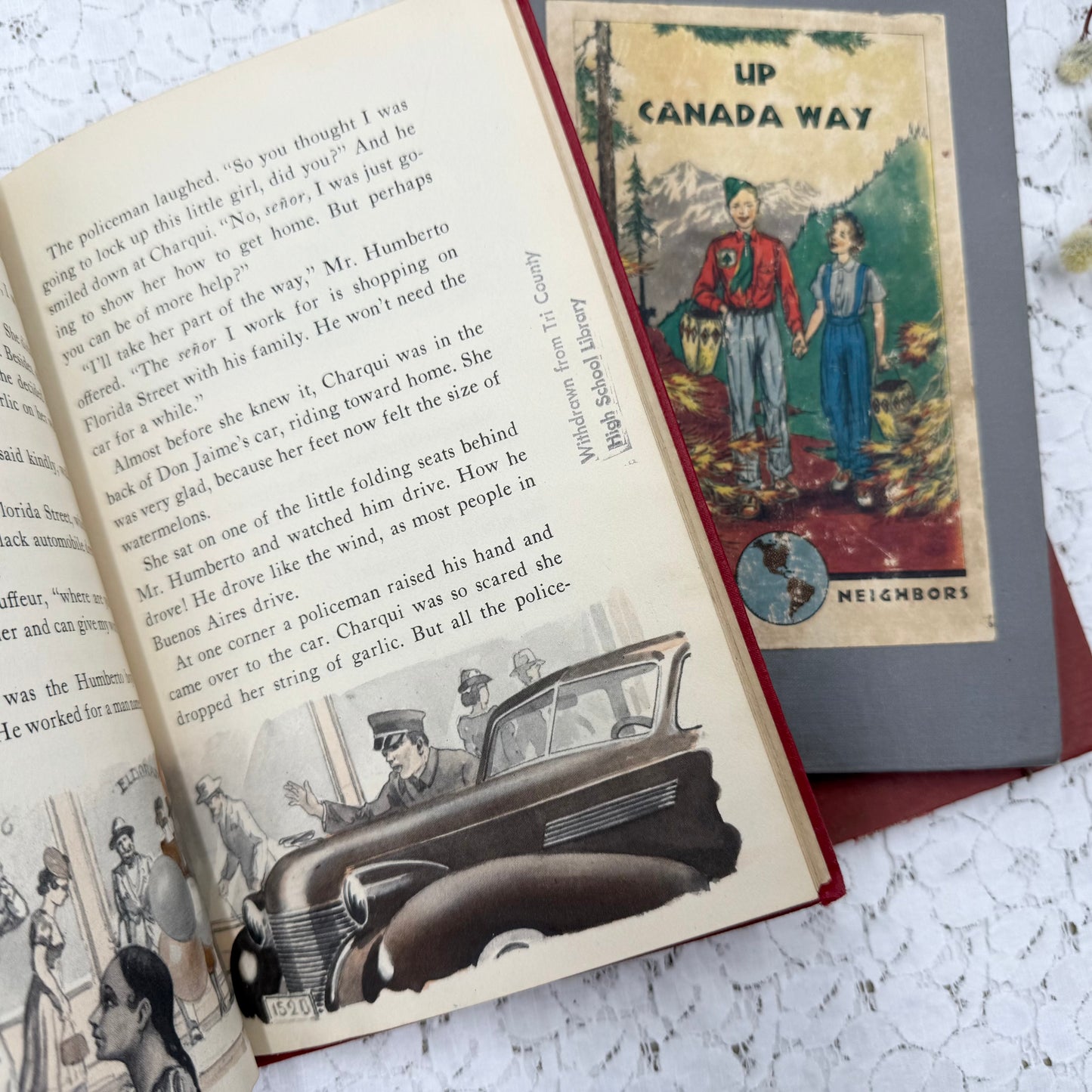 Vintage Book Set