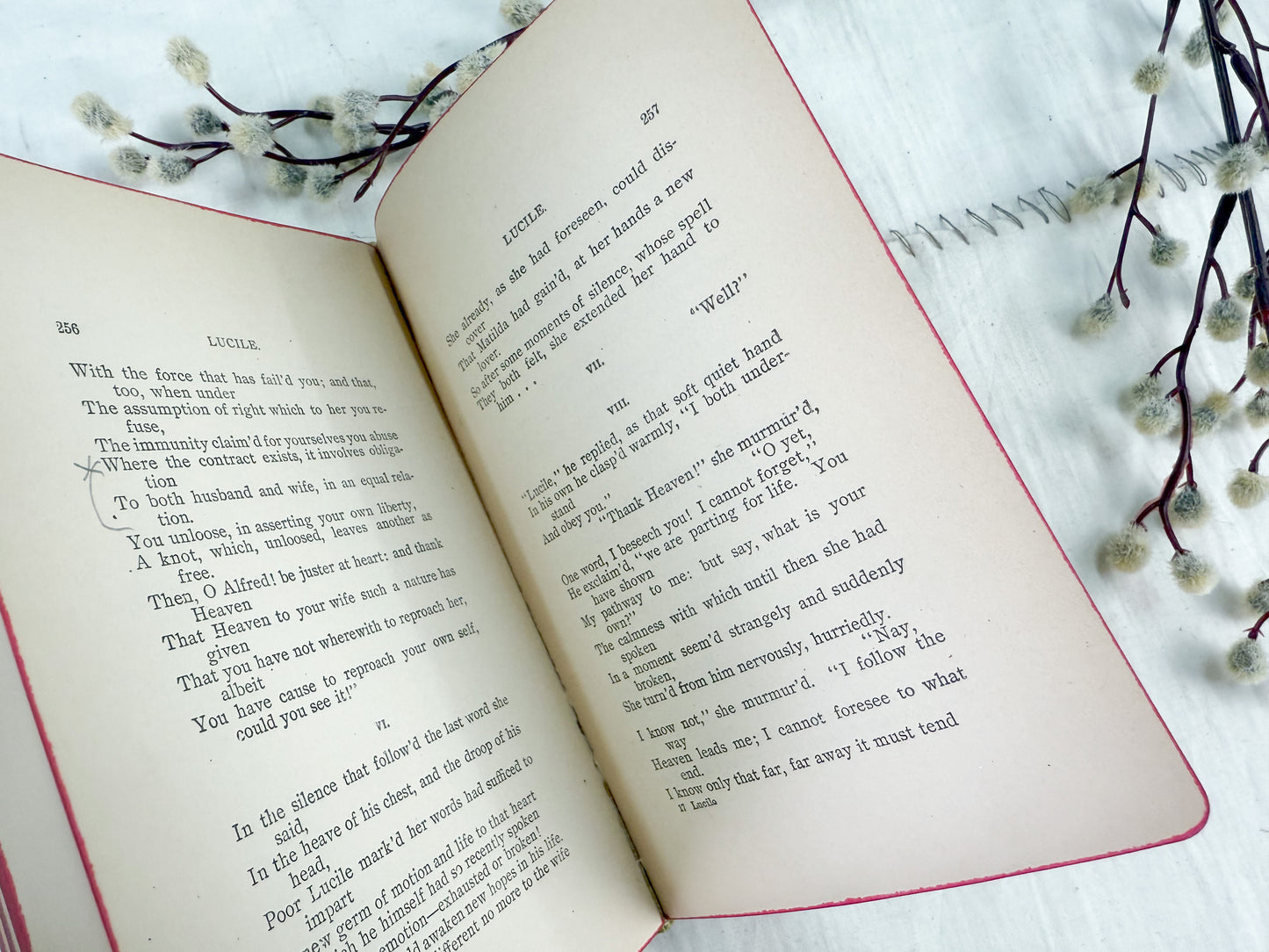 Tattered Lucile Book