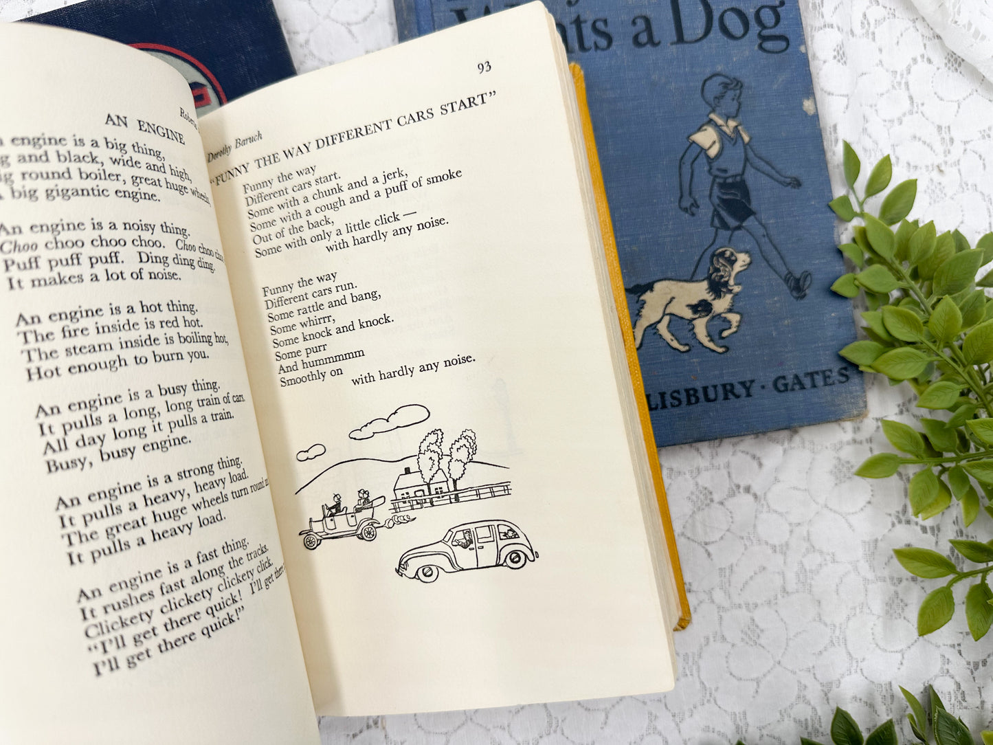Vintage Textbooks (Set of 3)