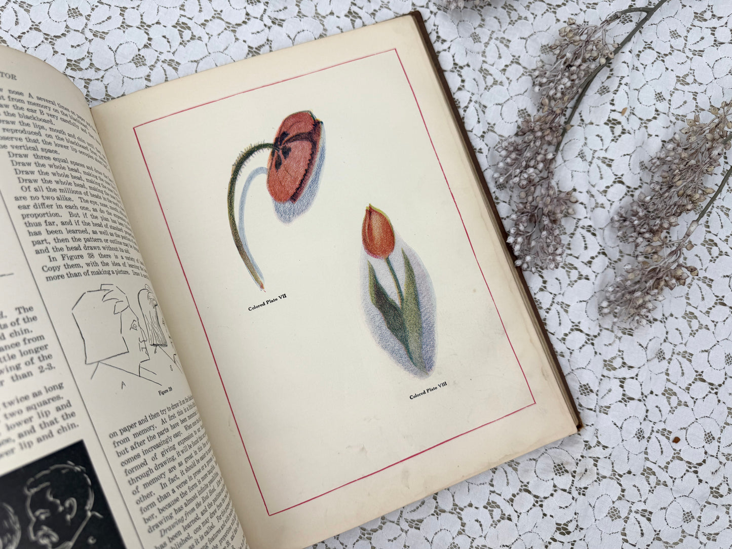 Junior Instructor Book