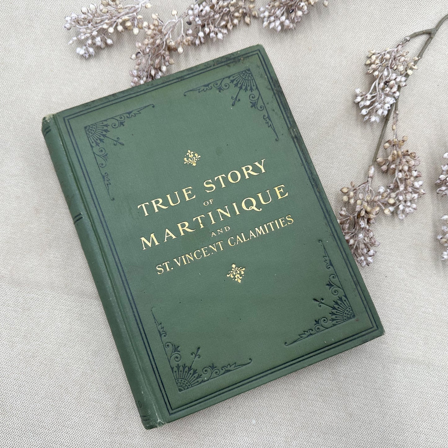 True Story of Martinique on St. Vincent Calamities- 1902