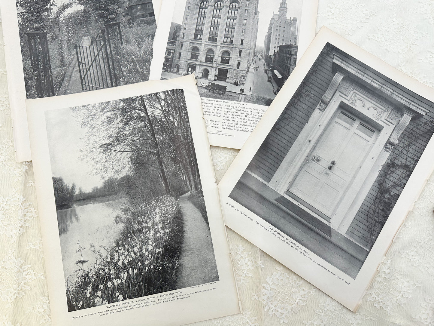 Vintage Image Set