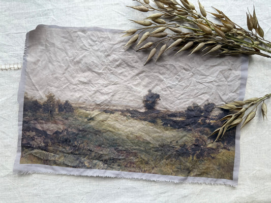Motif Book Cloth