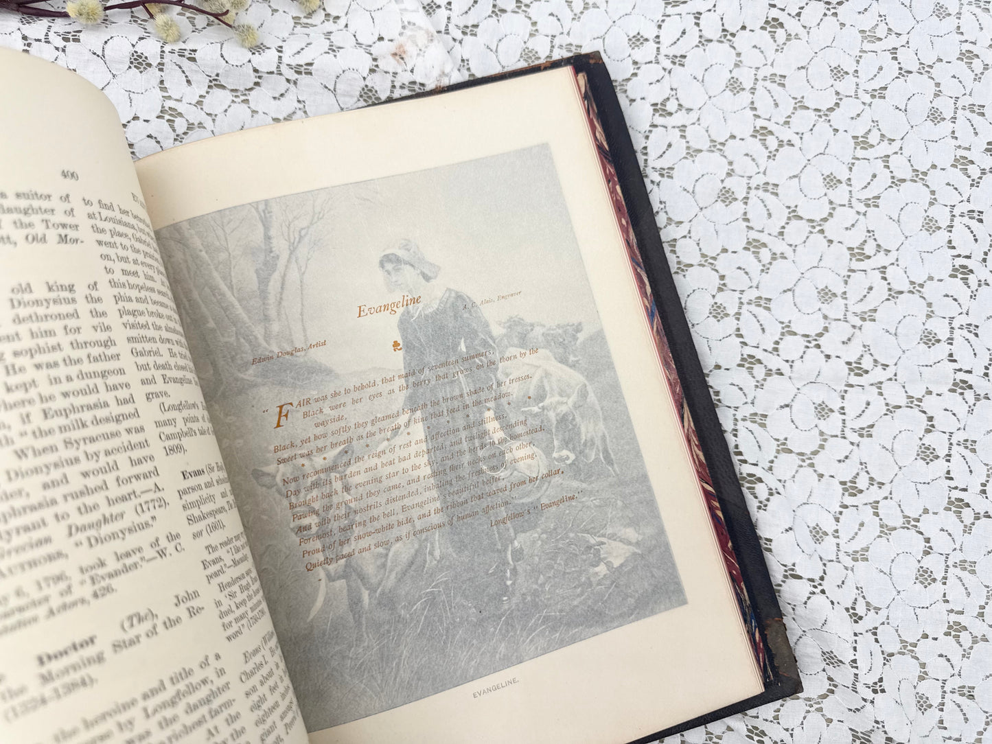 Illustrated Book (4 Different Volumes Available)