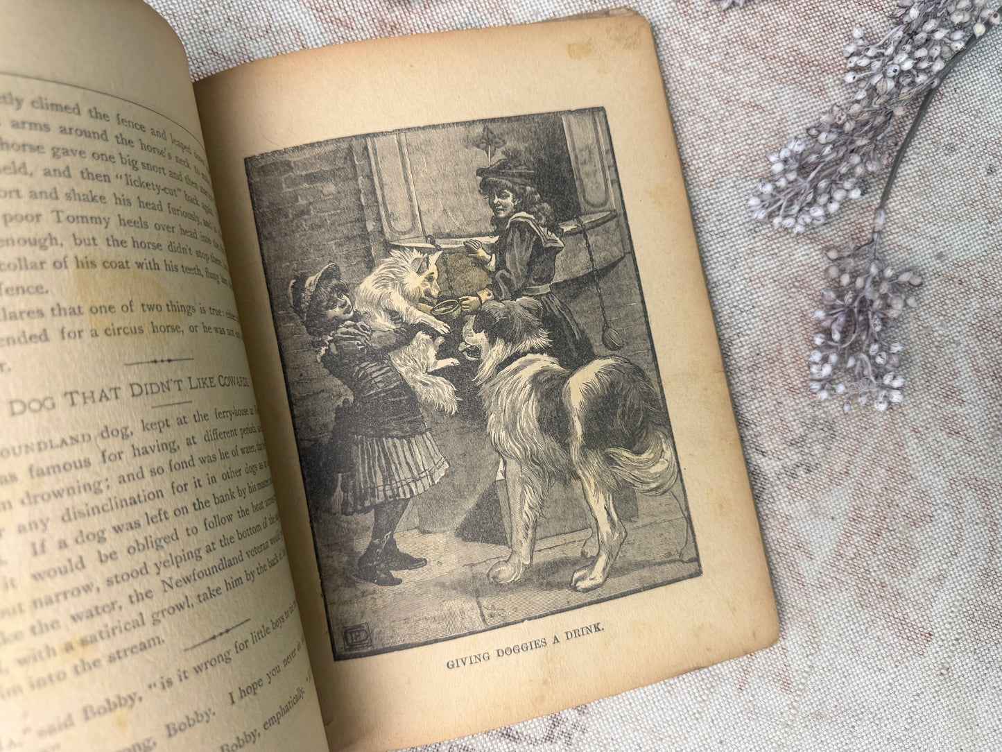 Vintage Children's Book