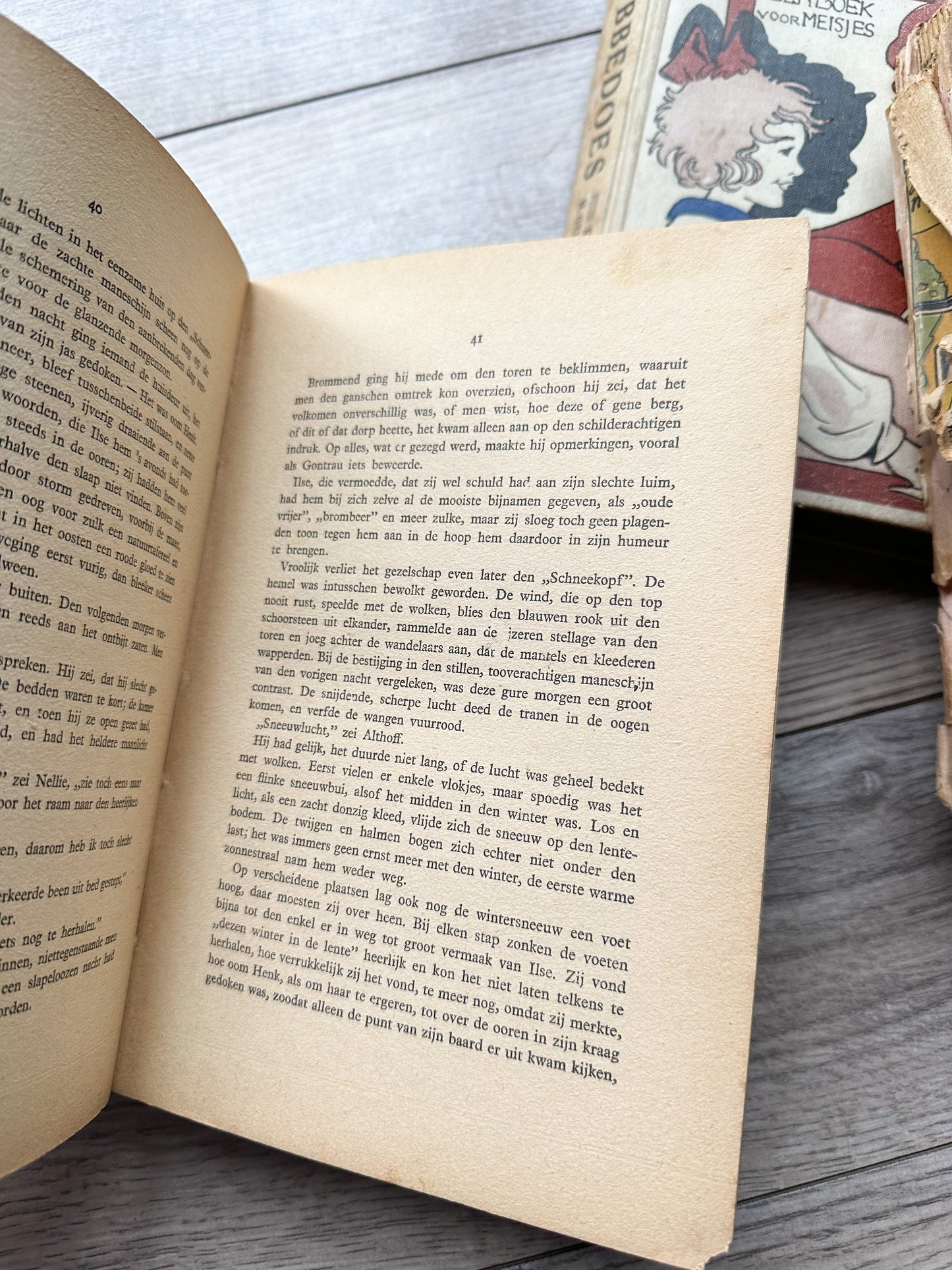 Set of Vintage Foreign Language Books