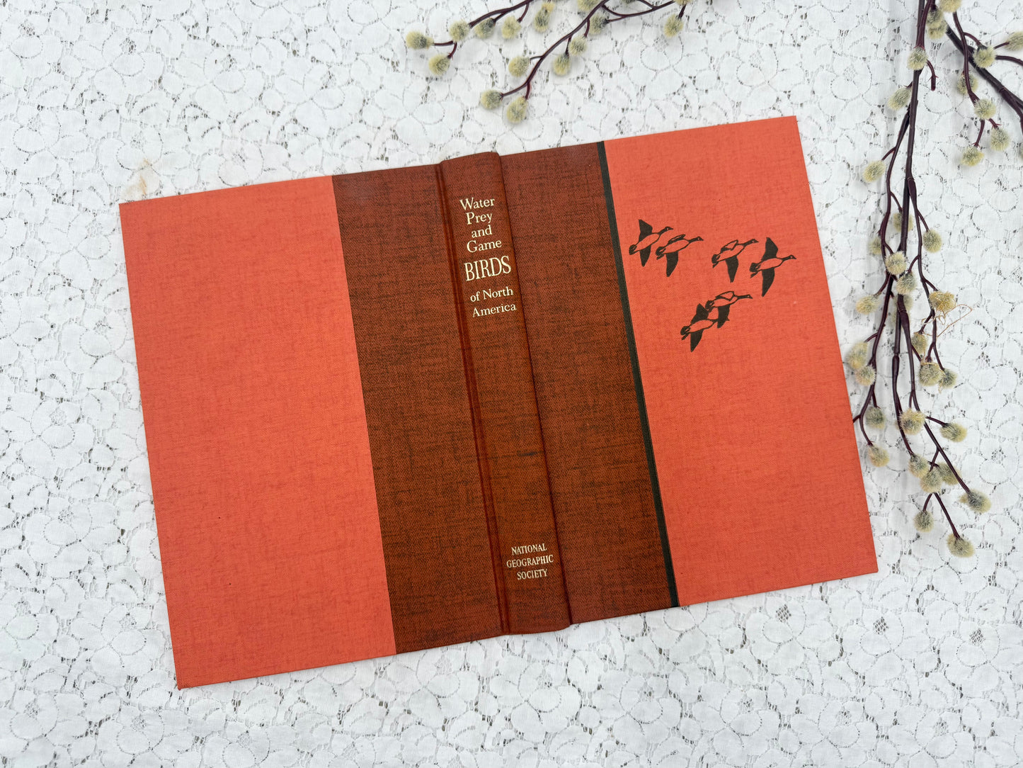 Vintage Book Cover