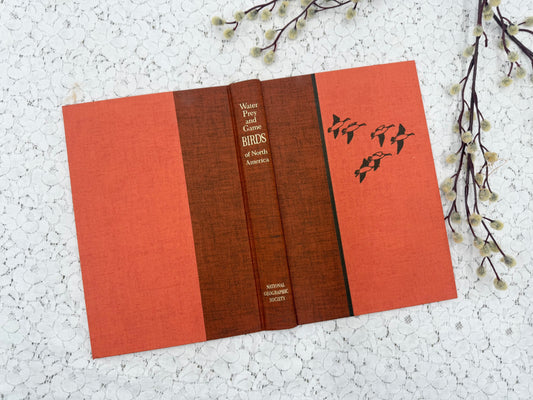 Vintage Book Cover