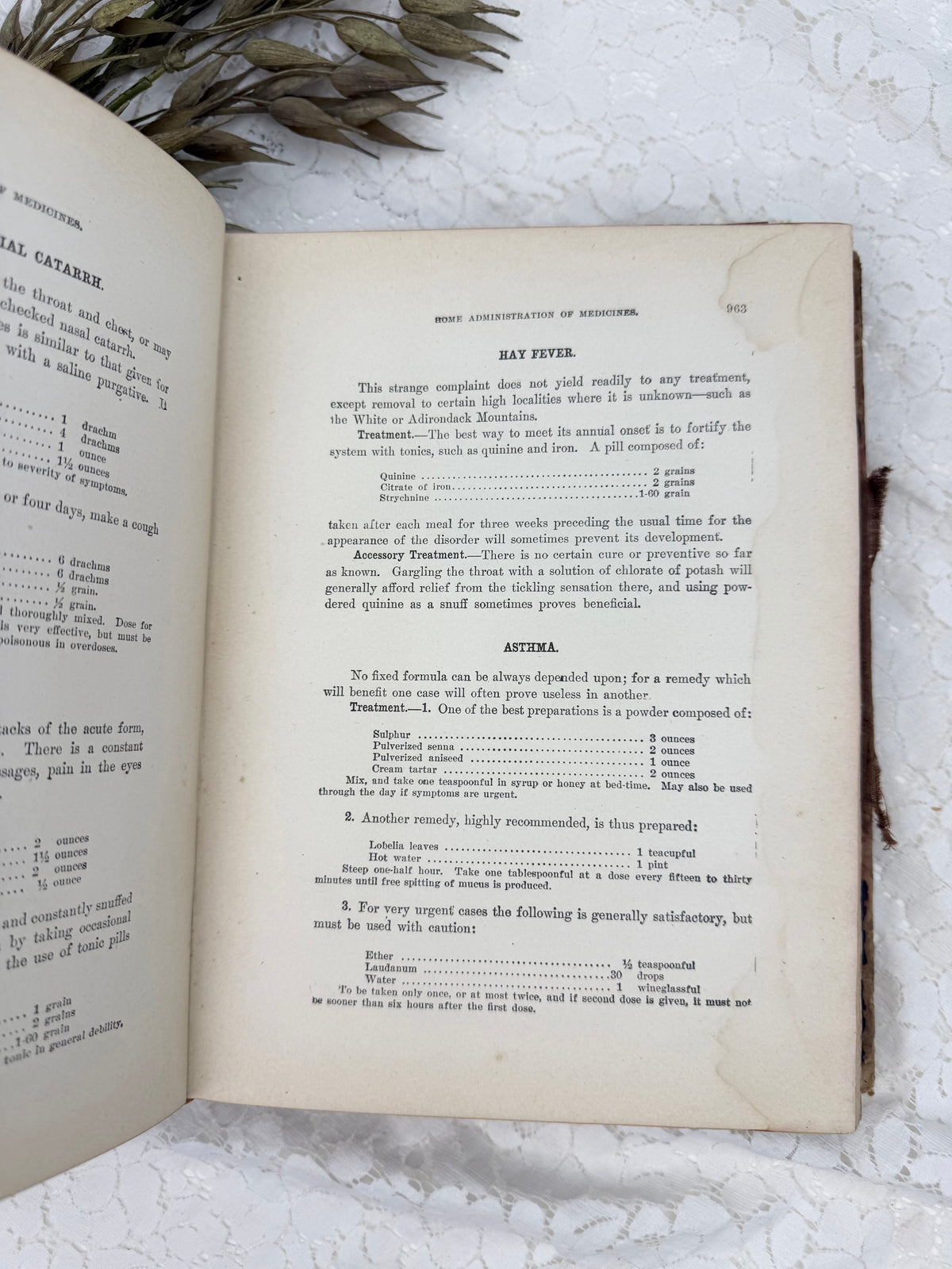 Vintage Health and Longevity Book