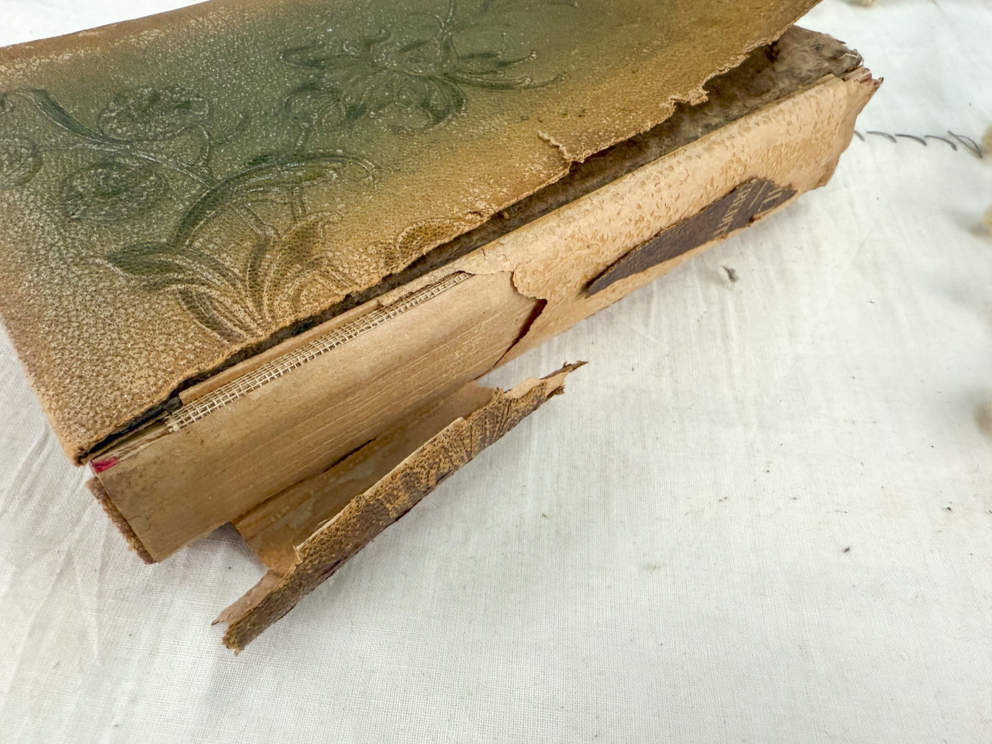 Tattered Lucile Book