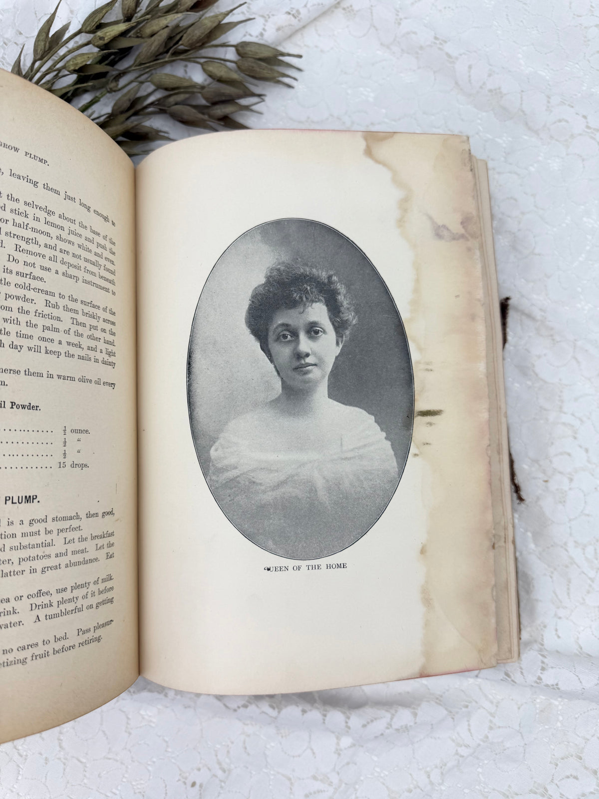 Vintage Health and Longevity Book