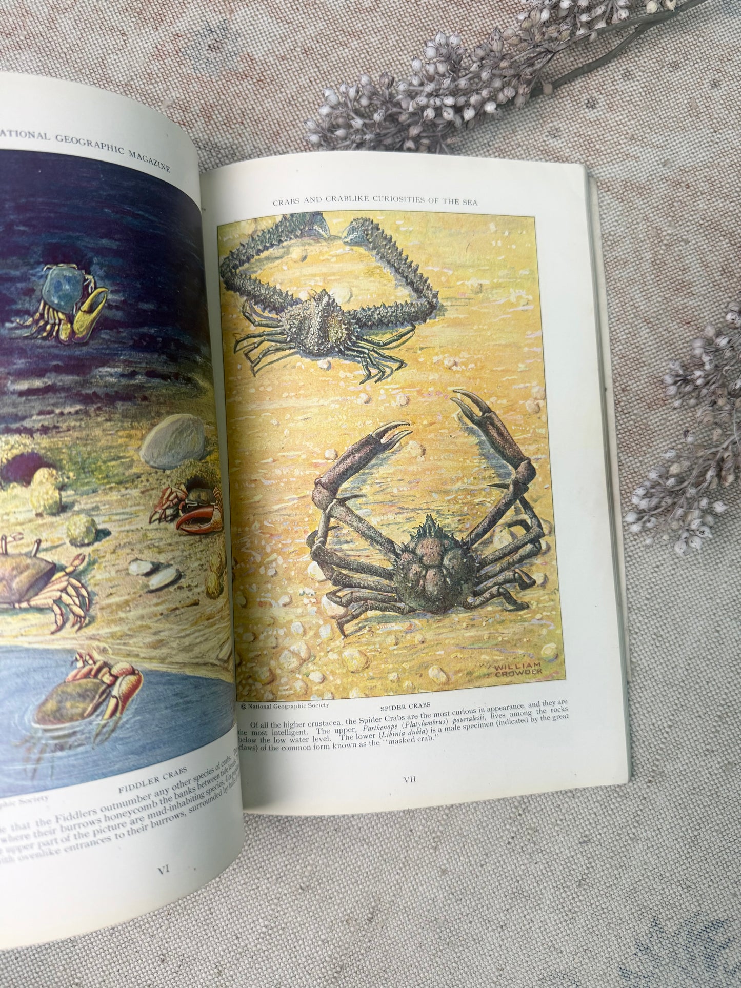 National Geographic Magazine