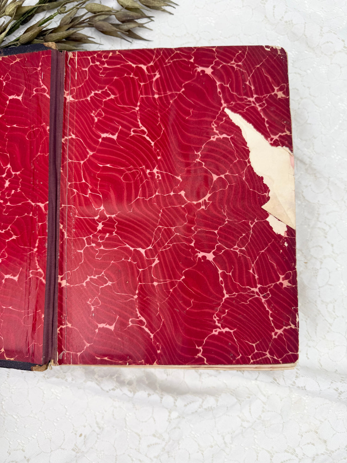 Vintage Health and Longevity Book