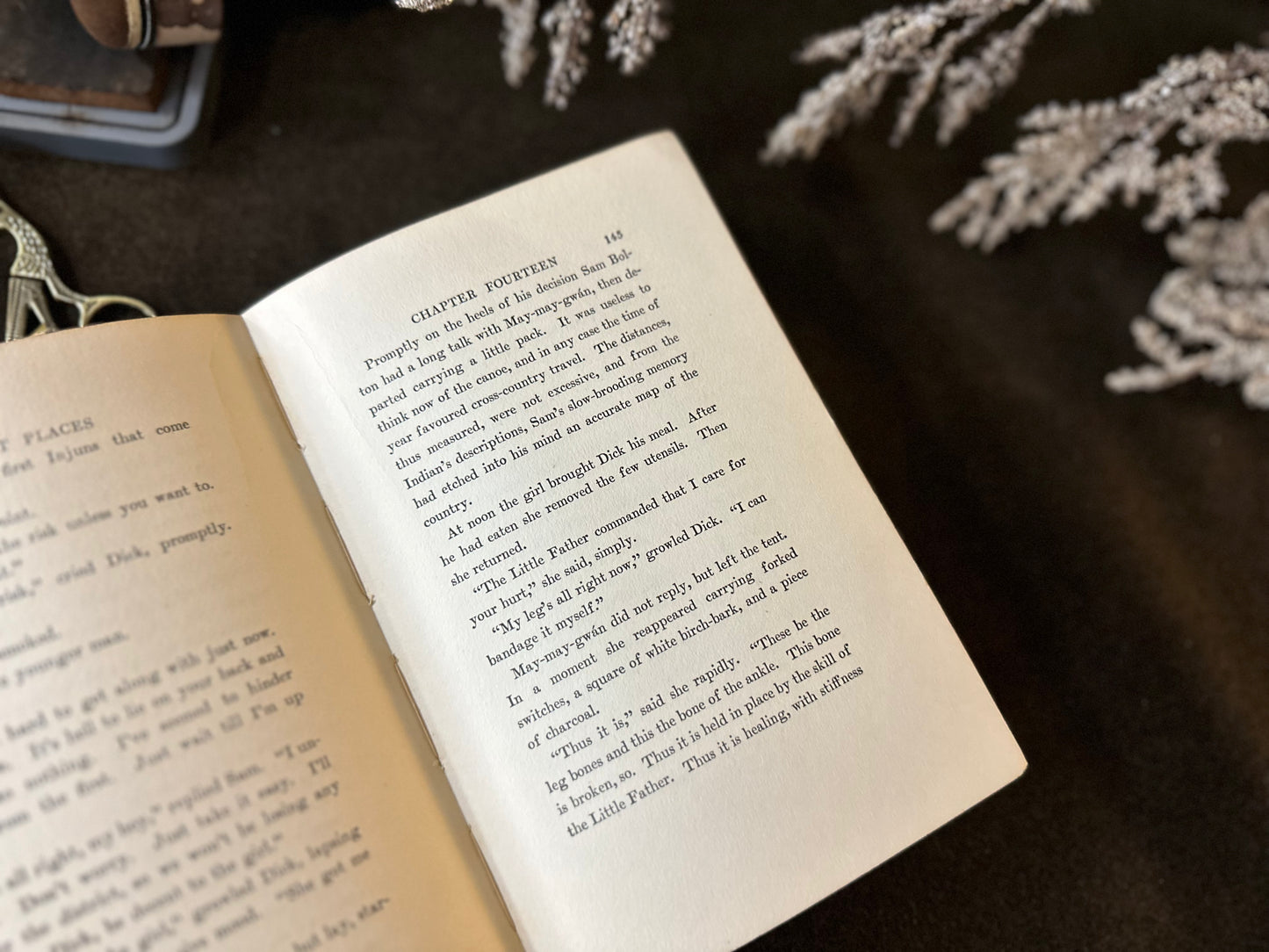Beautiful Vintage Book