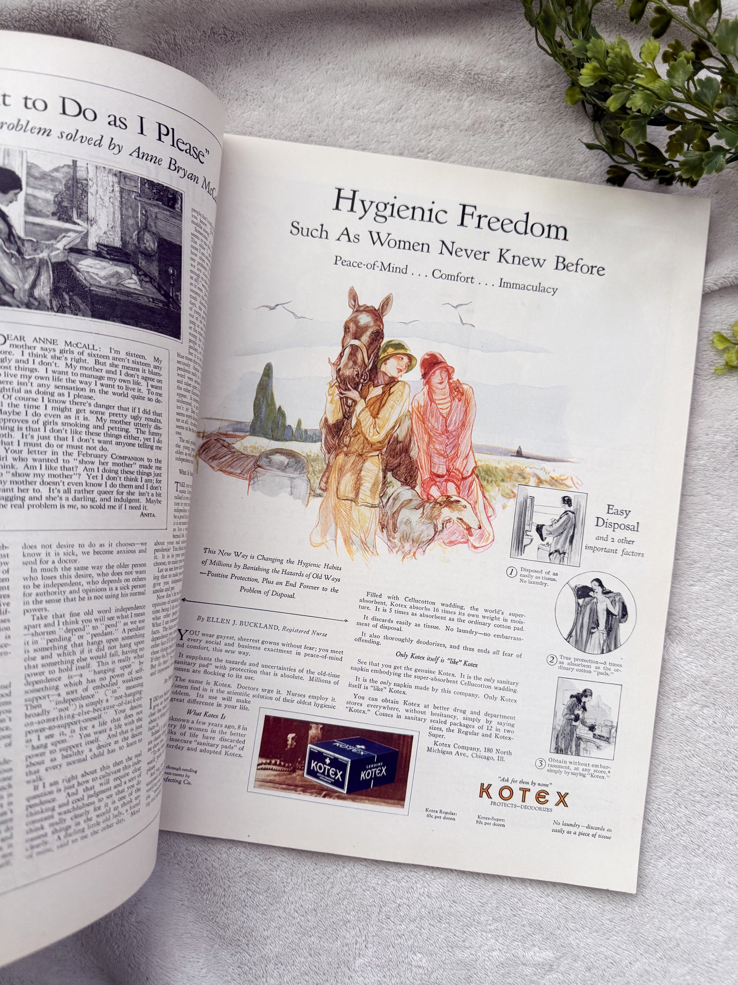 Vintage Woman's Home Companion Magazine