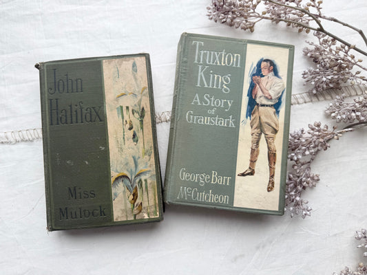Vintage Book Set with Illustrations