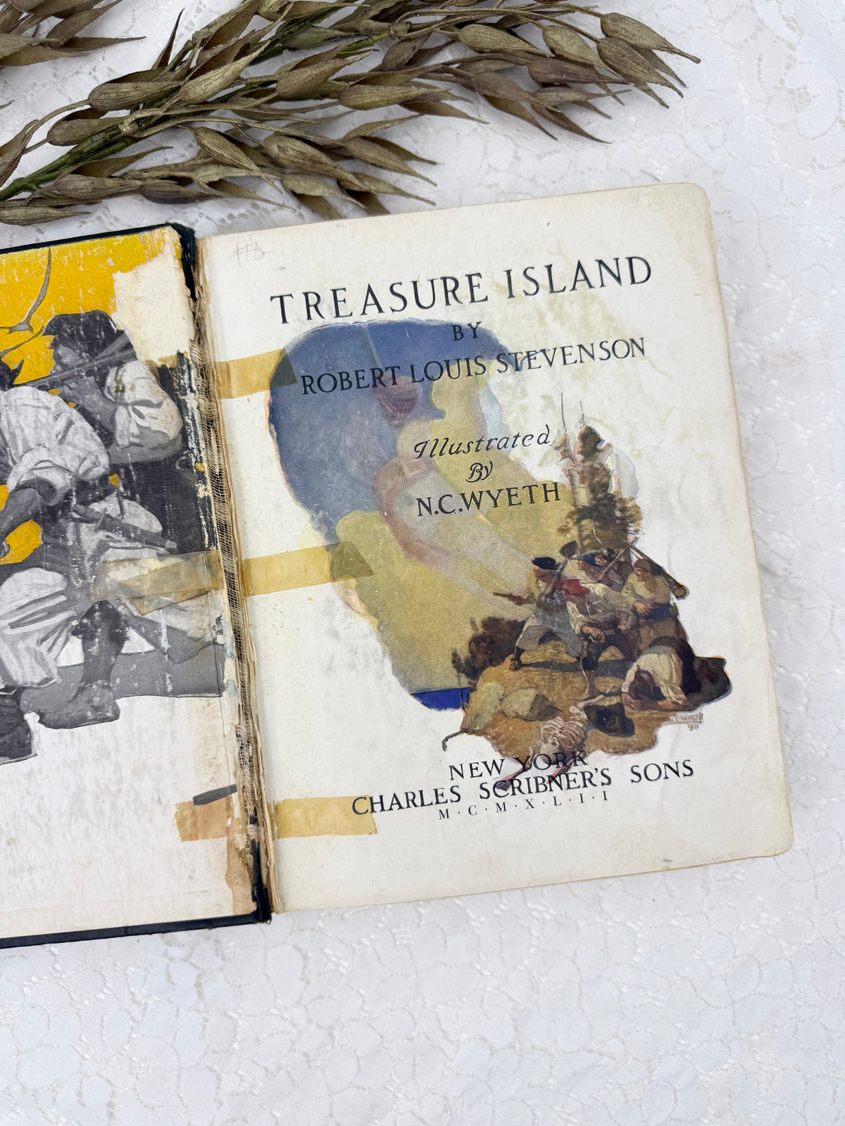 Treasure Island Book