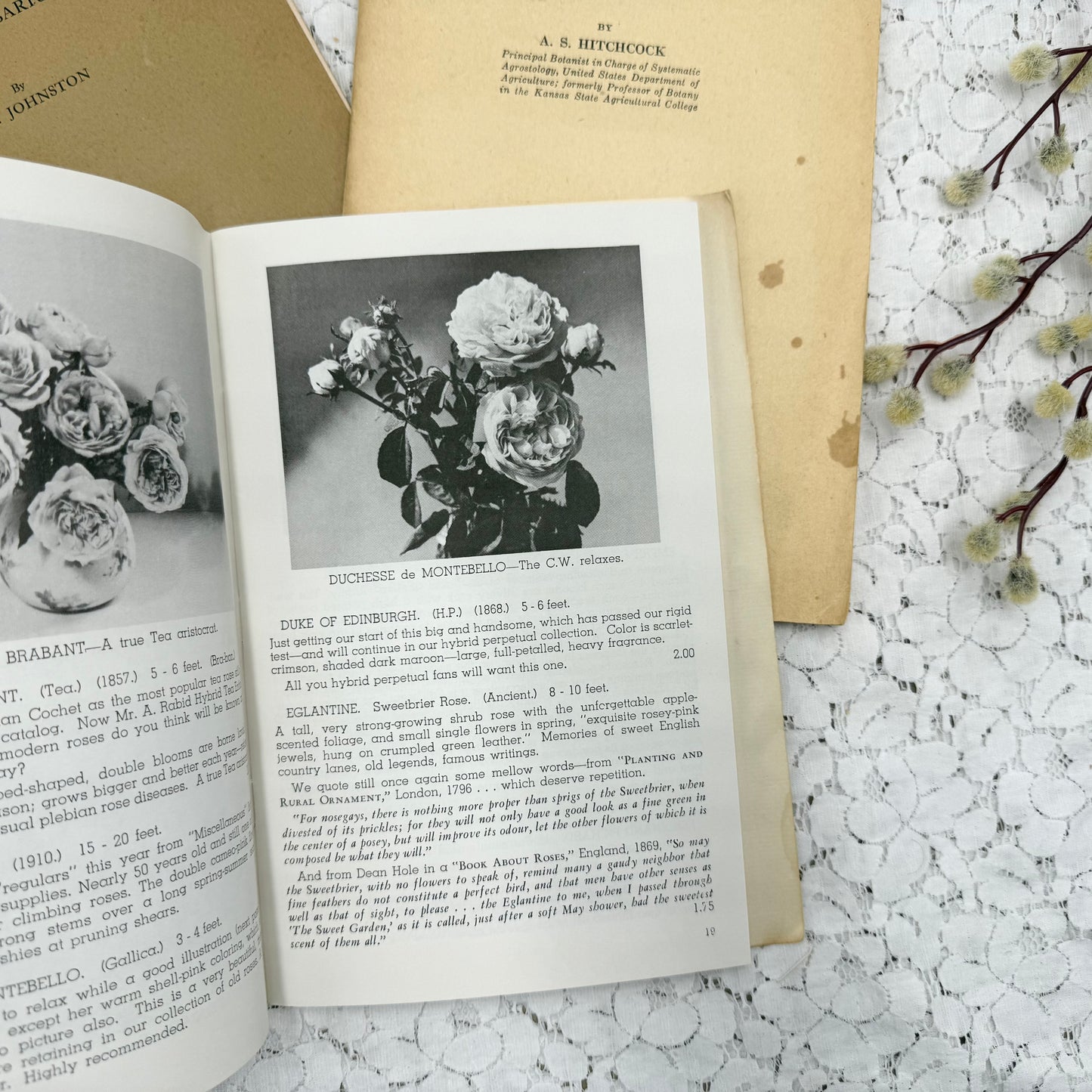 Botany Booklets