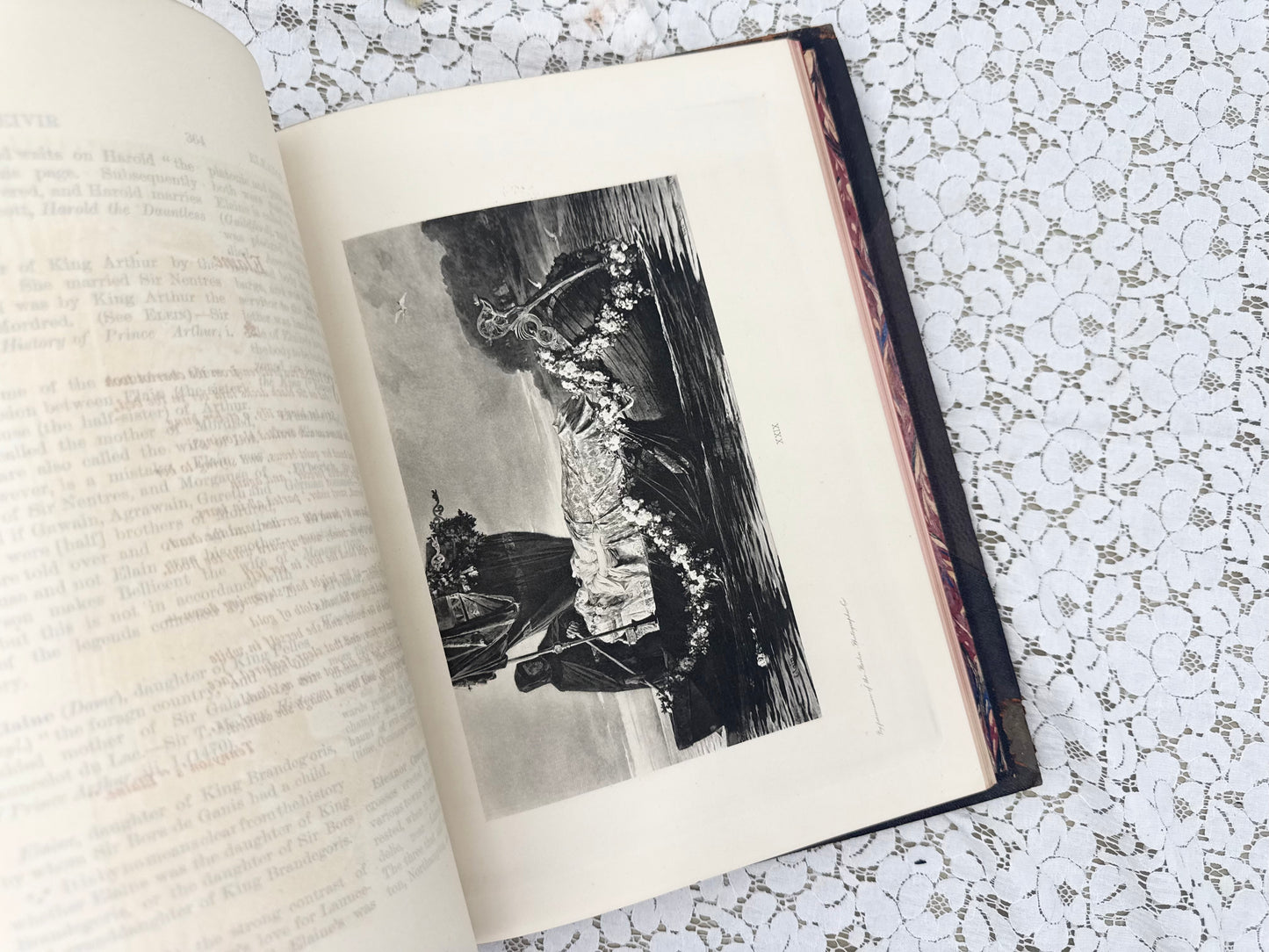 Illustrated Book (4 Different Volumes Available)