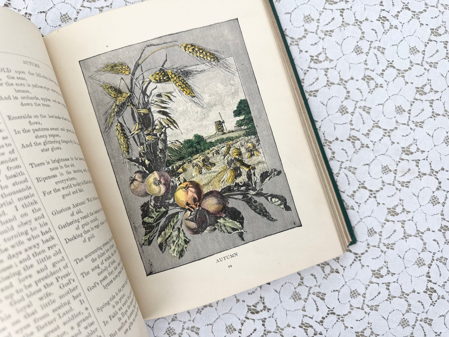 Illustrated Book