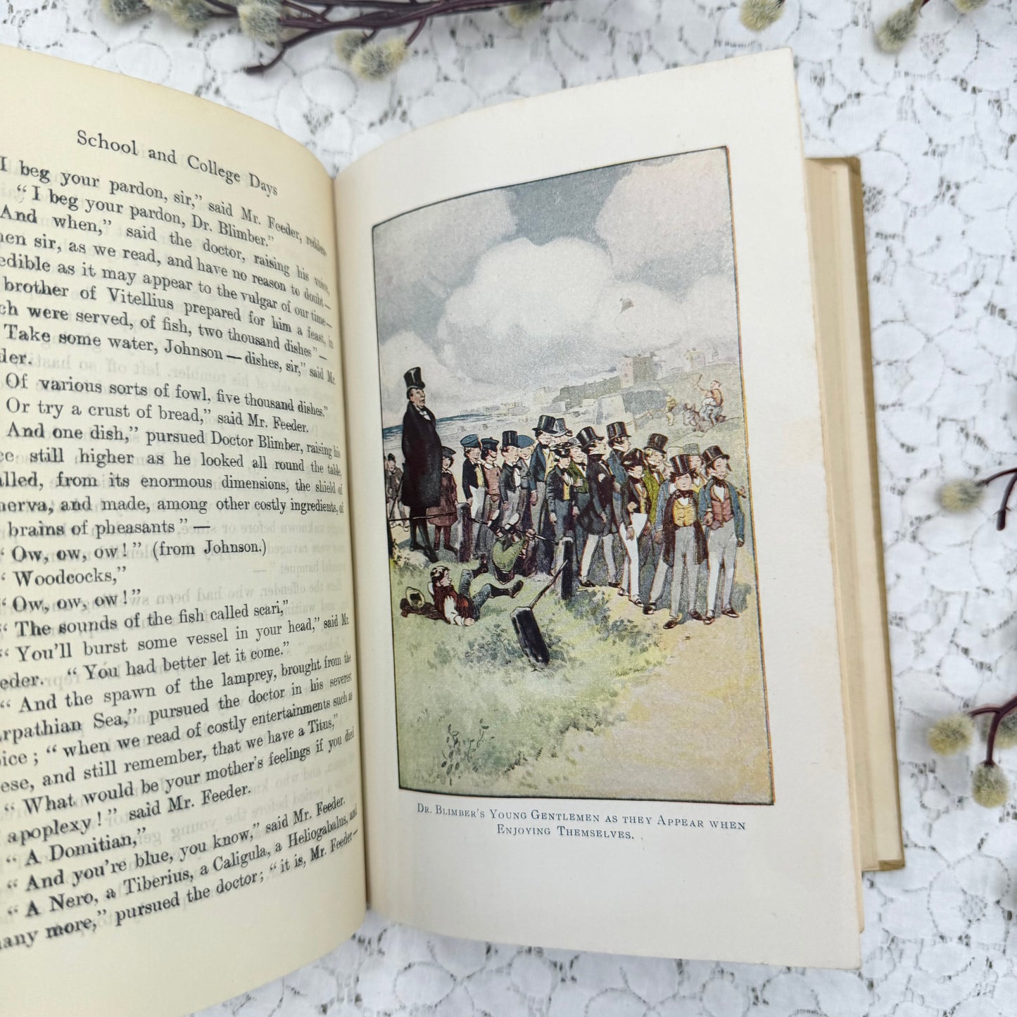 Vintage Illustrated Book