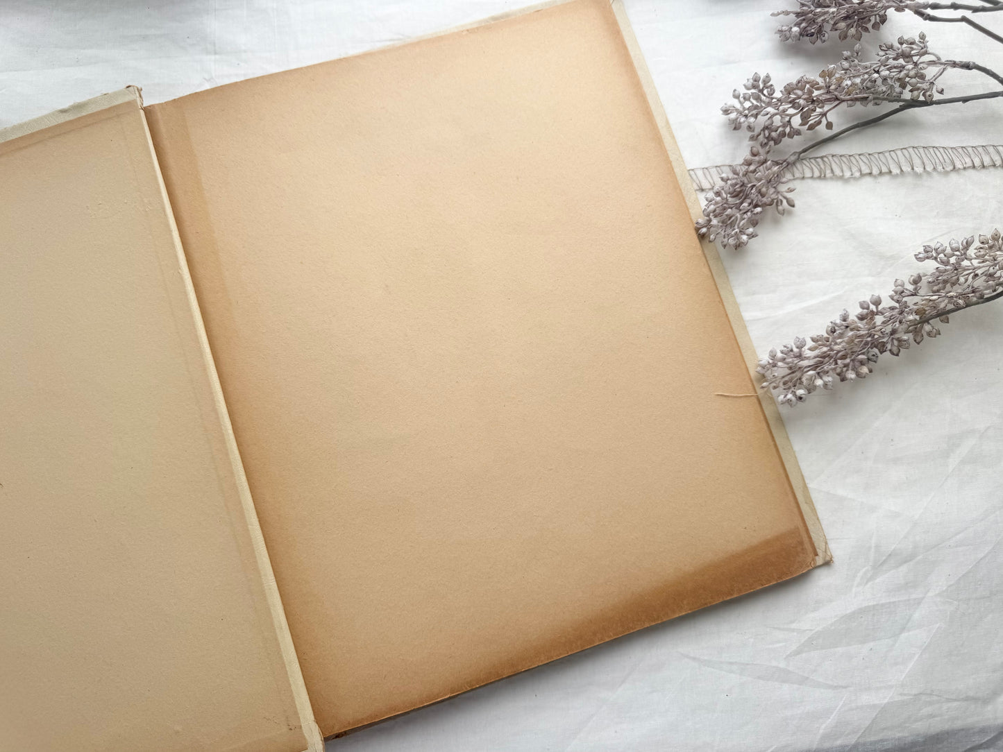 Vintage Scrapbook (Empty Pages)