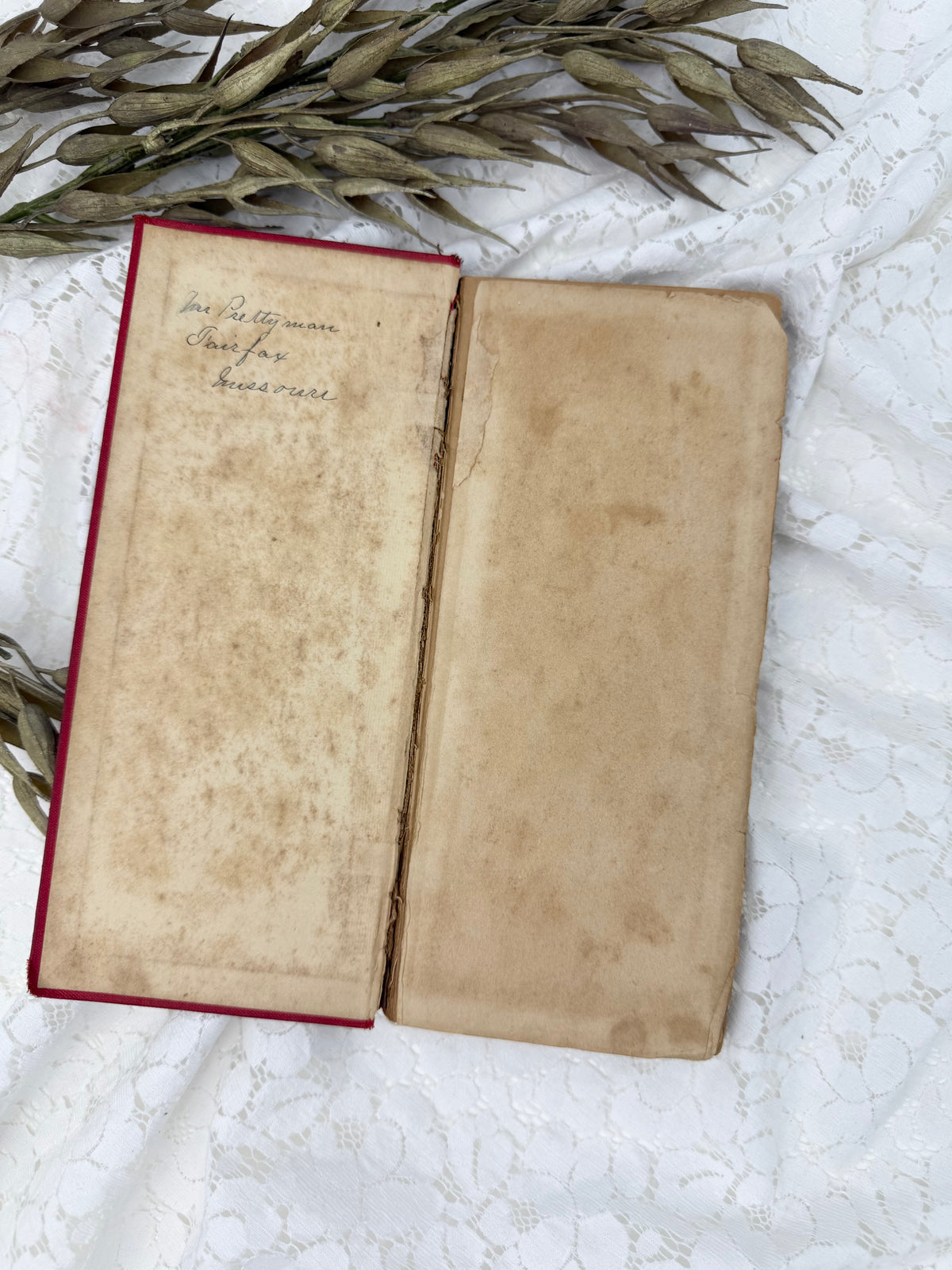 Traveller's Guide from Death to Life