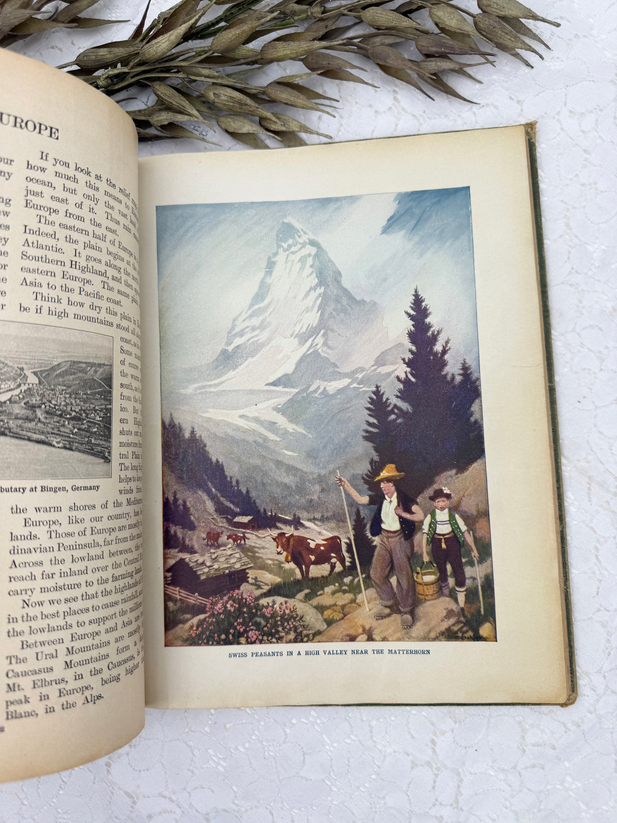 New Geography Book