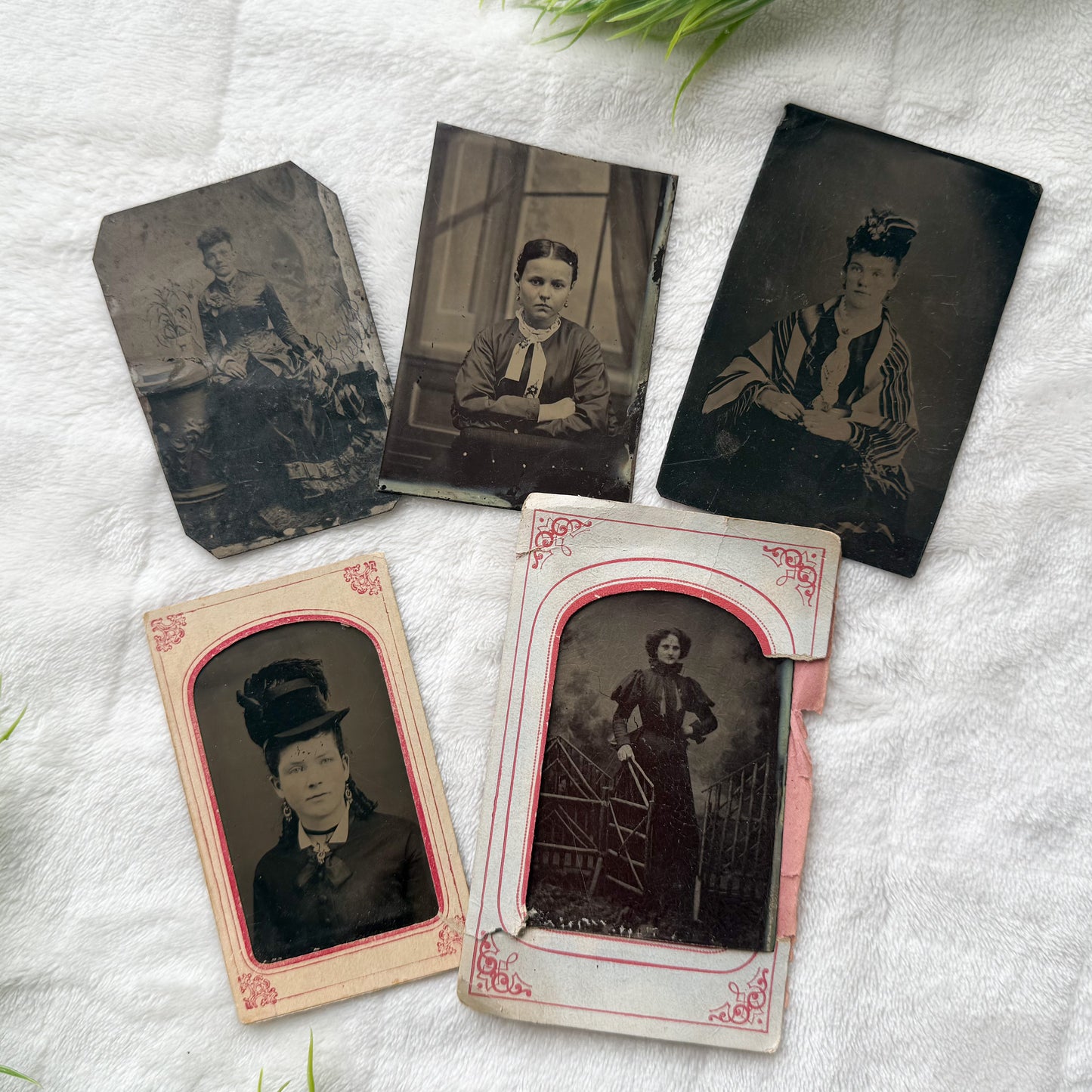 Vintage Tin Type Set