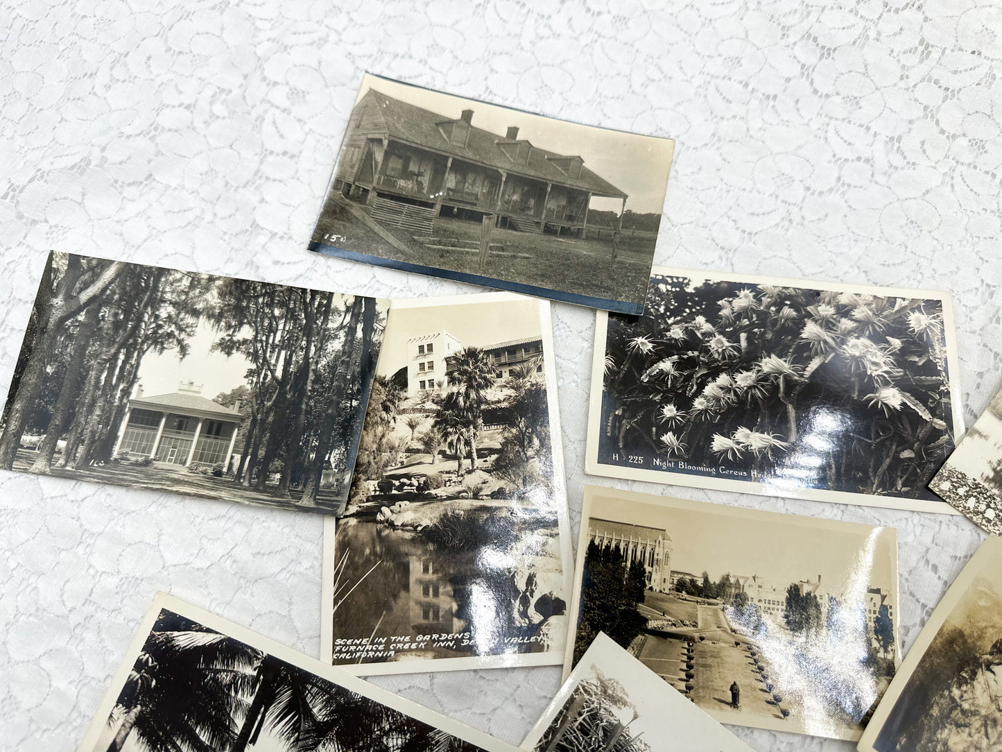 Set of Vintage Postcards and Photos