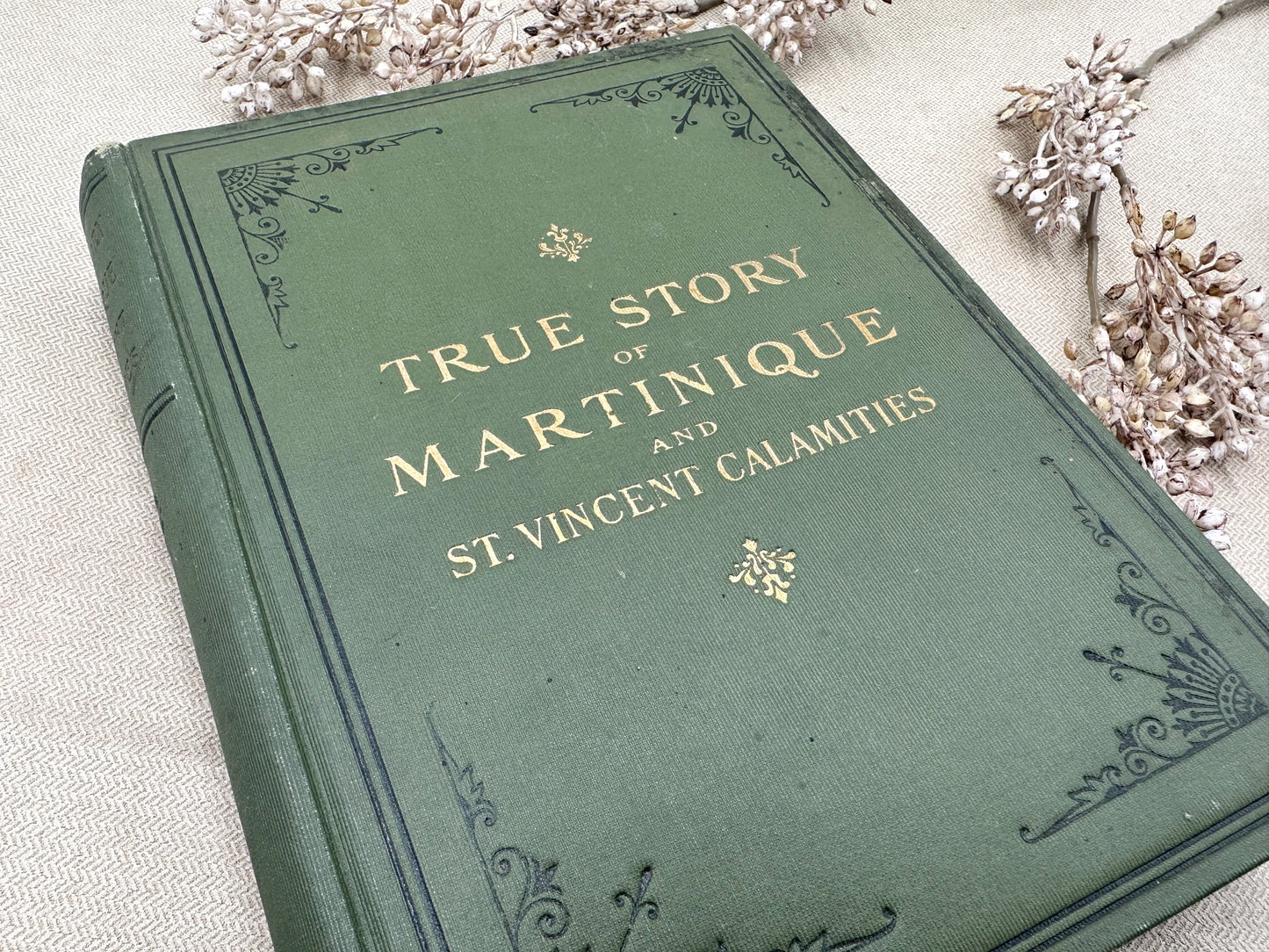 True Story of Martinique on St. Vincent Calamities- 1902