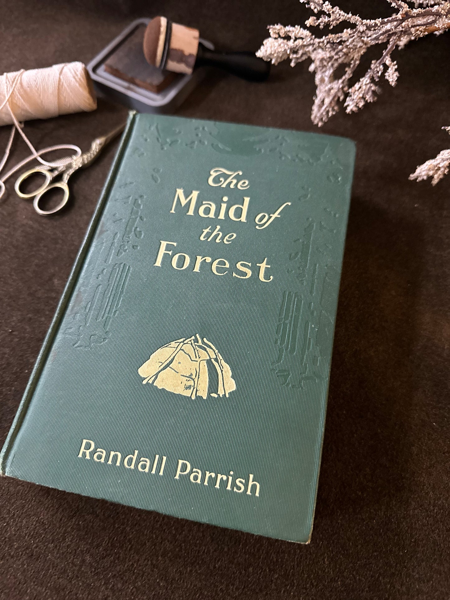 Beautiful Vintage Book
