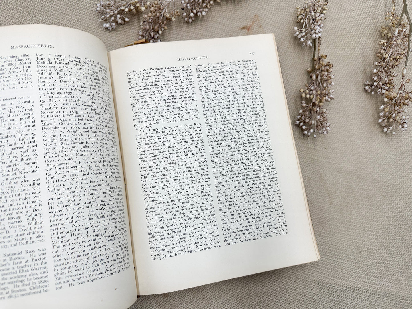 Geneology Book (Two Available)