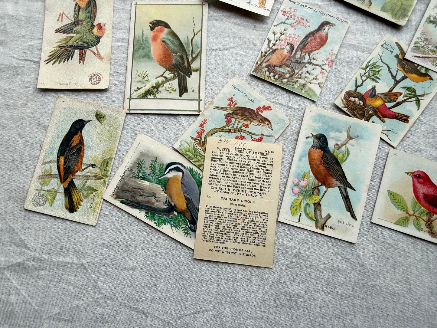 Vintage Bird Trading Cards