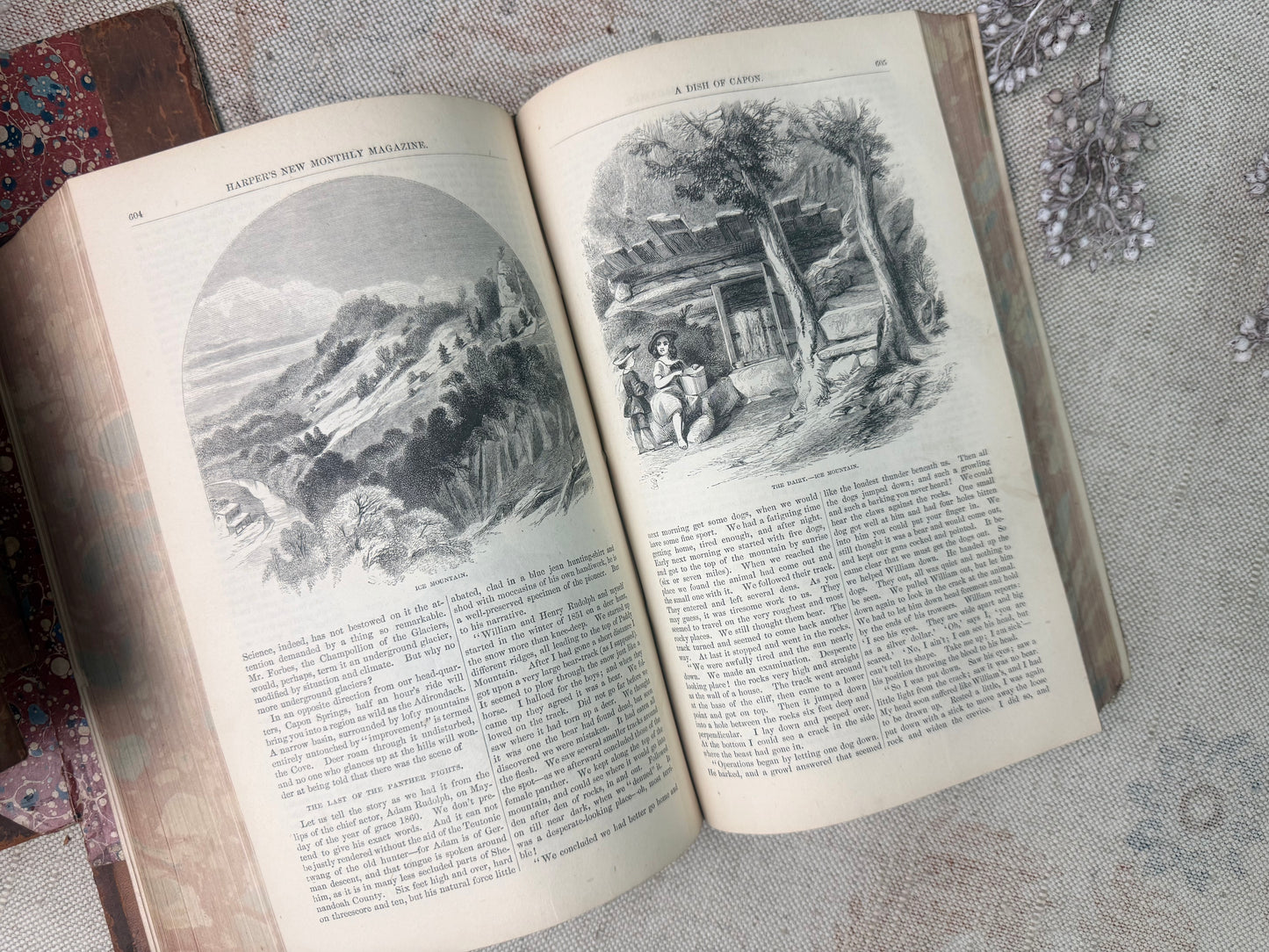 Vintage Harper's Magazine- Bound Book