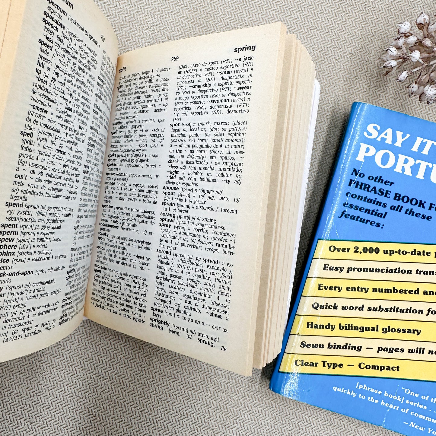 Set of Foreign Language Books