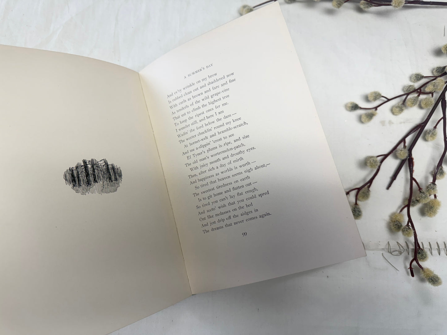 Riley Songs O'Cheer- Pretty Book