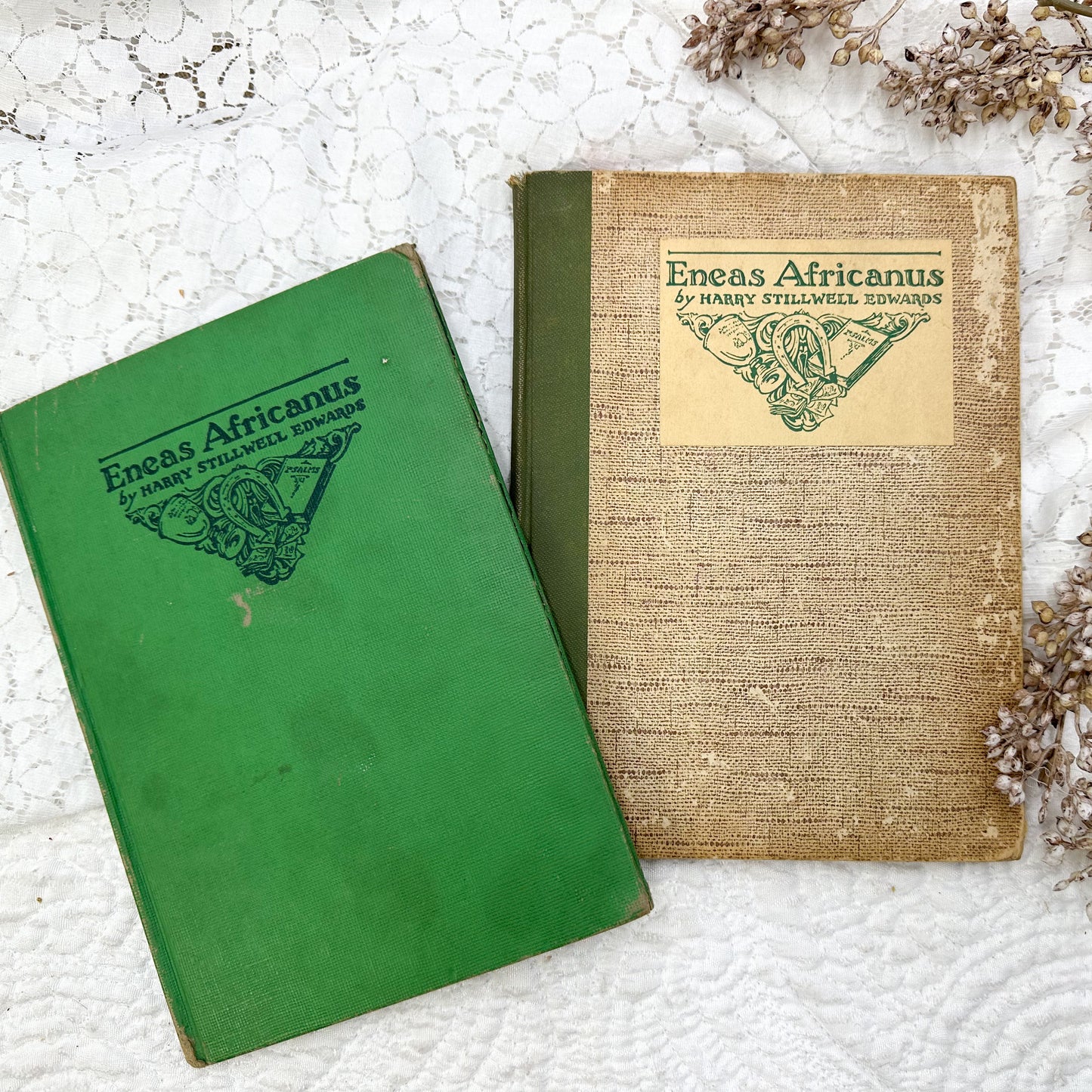 Eneas Africanus Book Set