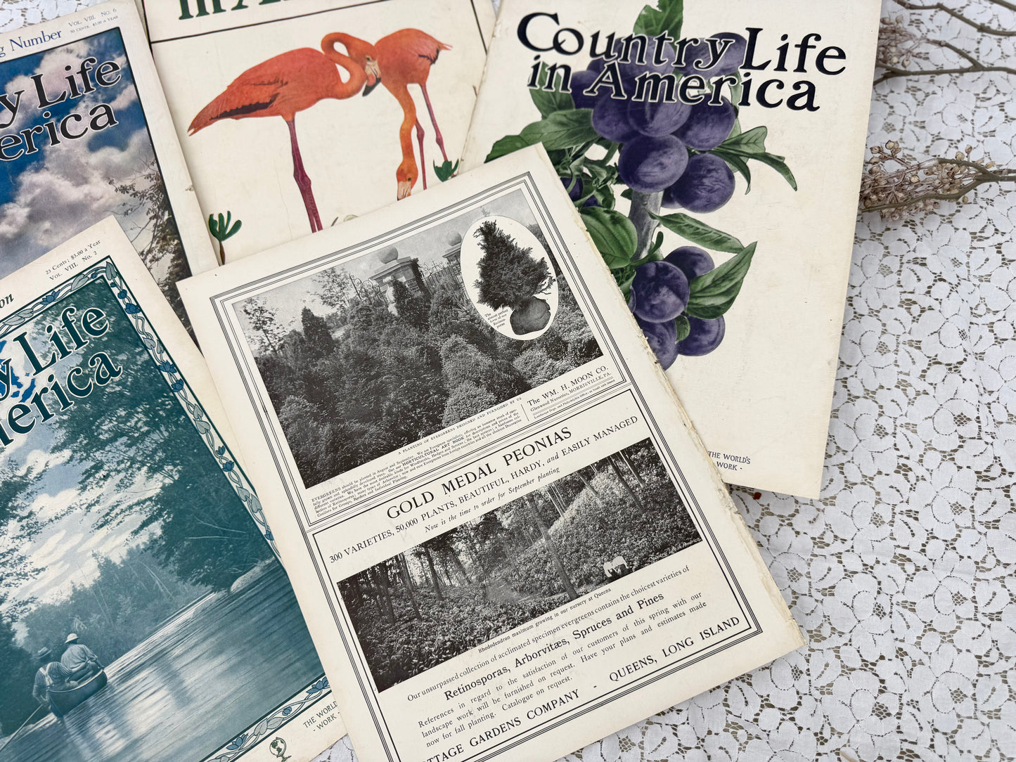 Country Life Magazine Covers (Covers Only)
