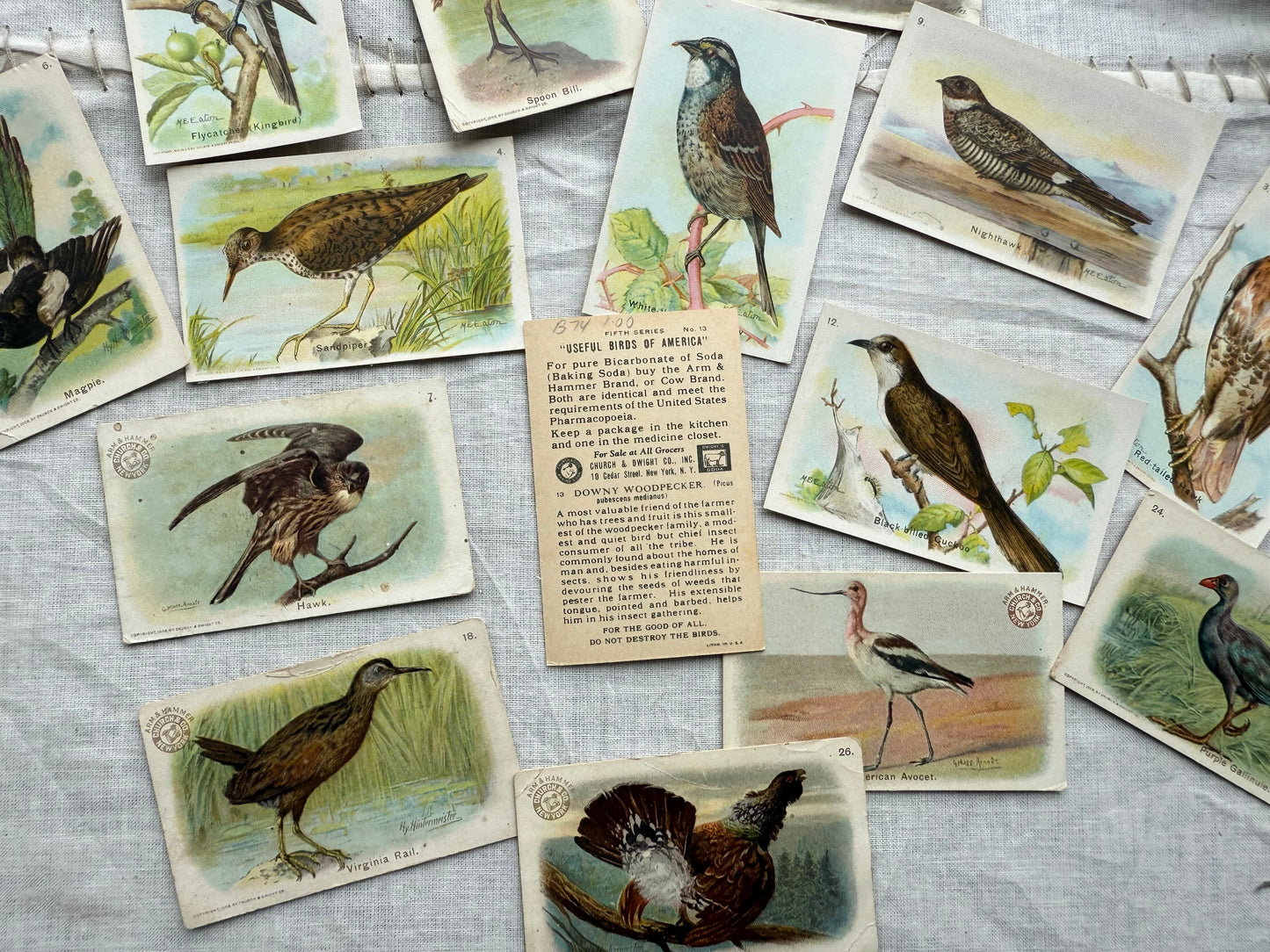 Vintage Bird Trading Cards