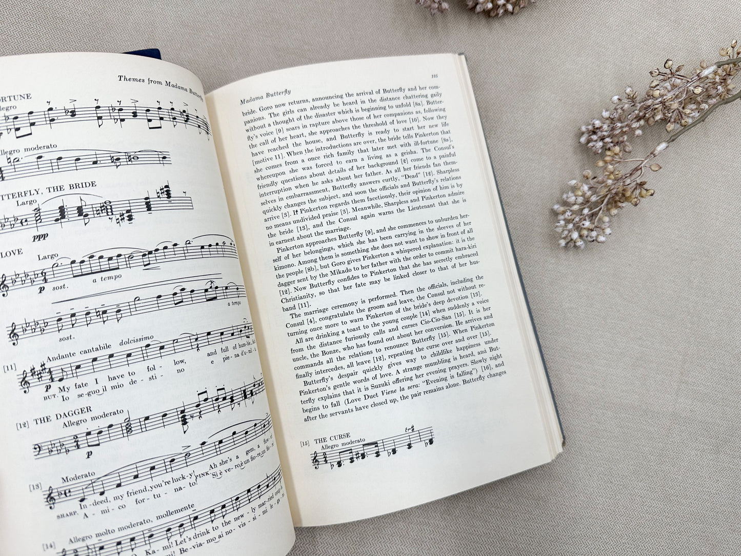 Set of Two Music Books