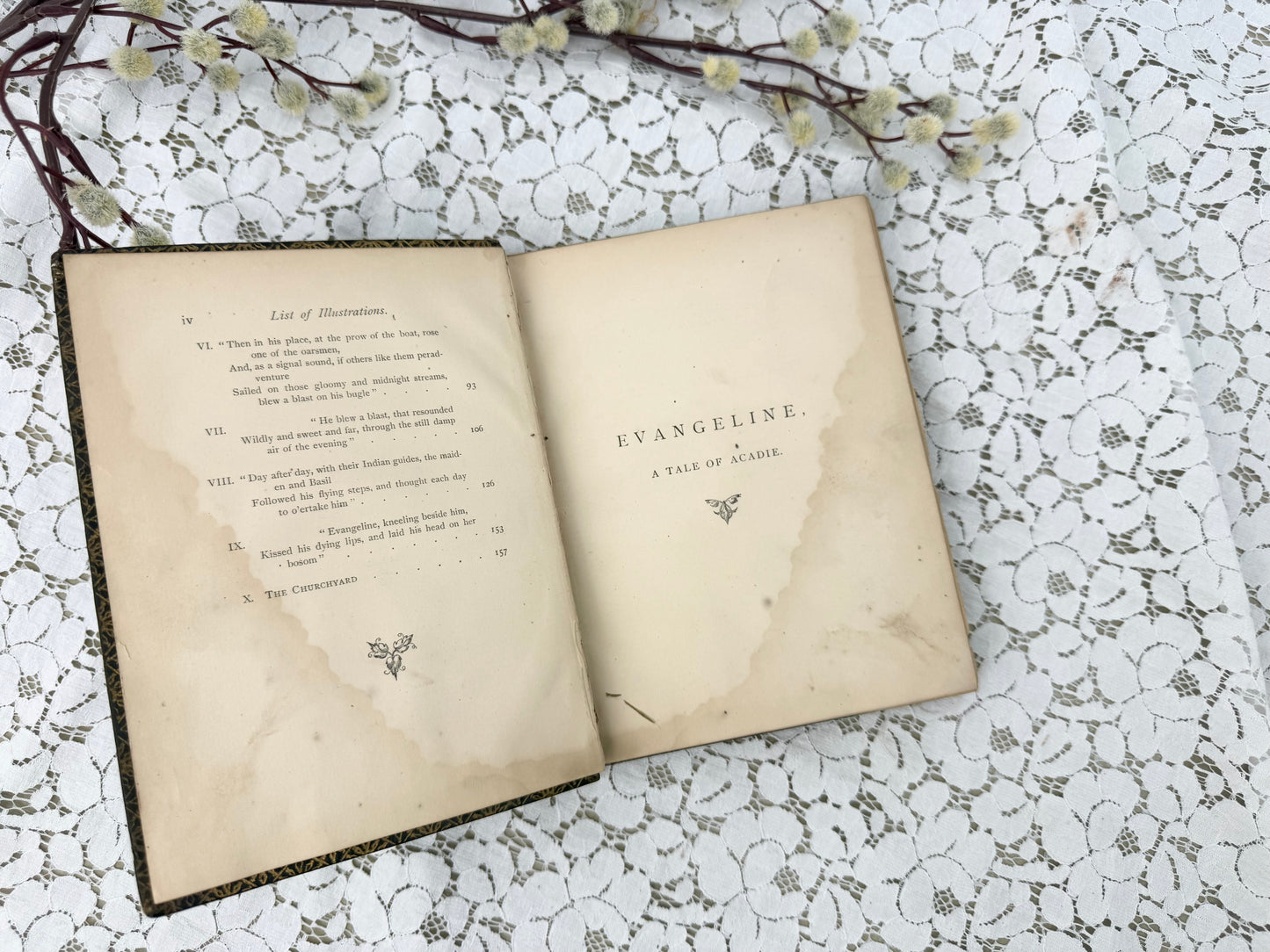 Illustrated Evangeline Book