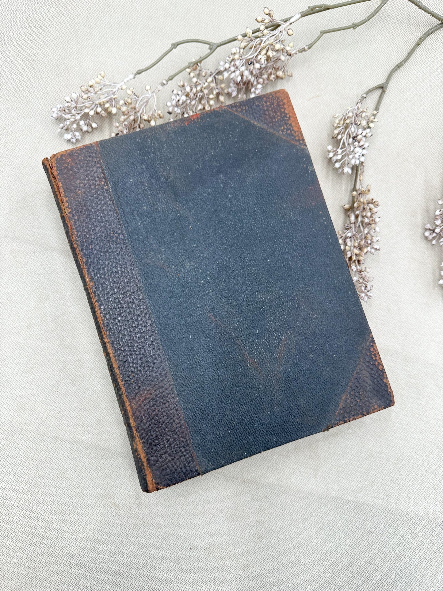 Geneology Book (Two Available)