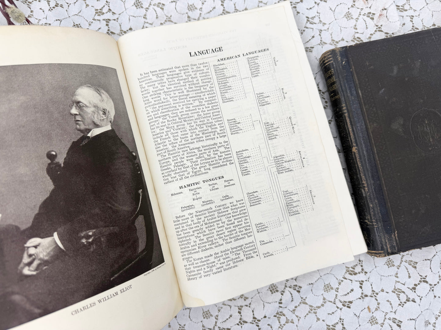 Dictionary Set